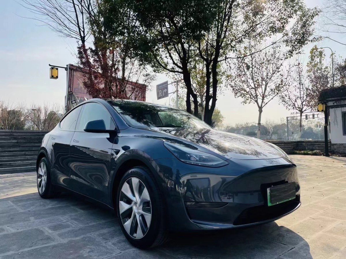 特斯拉 Model 3  2021款 改款 標(biāo)準(zhǔn)續(xù)航后驅(qū)升級(jí)版圖片