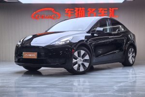 Model Y 特斯拉 改款 长续航后轮驱动版