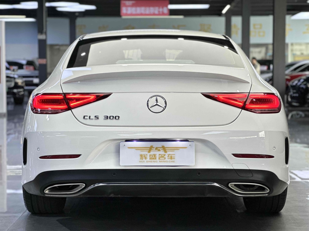 奔馳 奔馳CLS級  2021款 改款 CLS 300 豪華型圖片