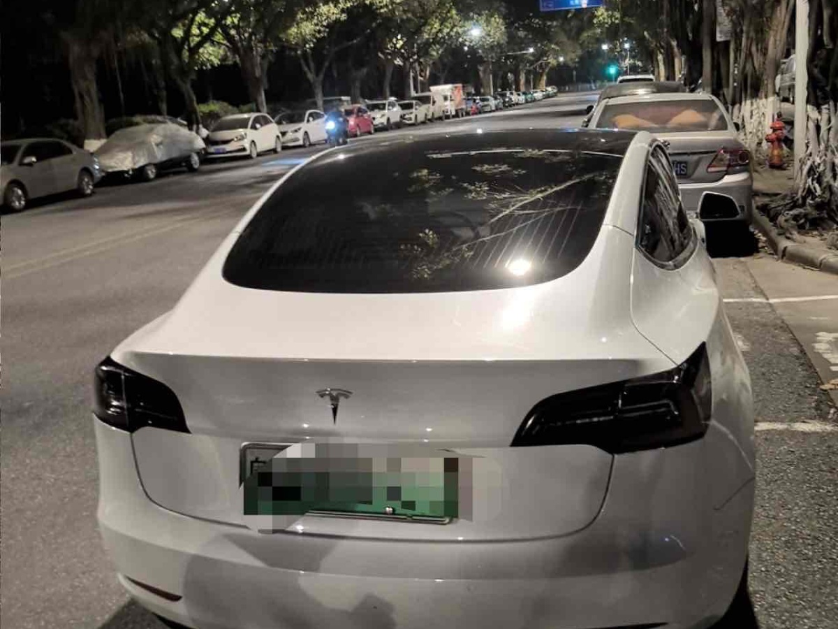 特斯拉 Model 3  2019款 標(biāo)準(zhǔn)續(xù)航后驅(qū)升級版圖片