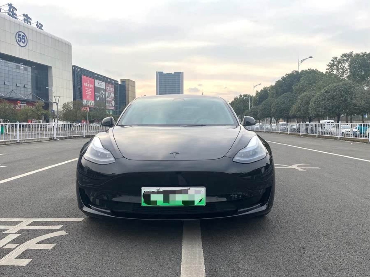 特斯拉 Model 3  2022款 后輪驅(qū)動(dòng)版圖片