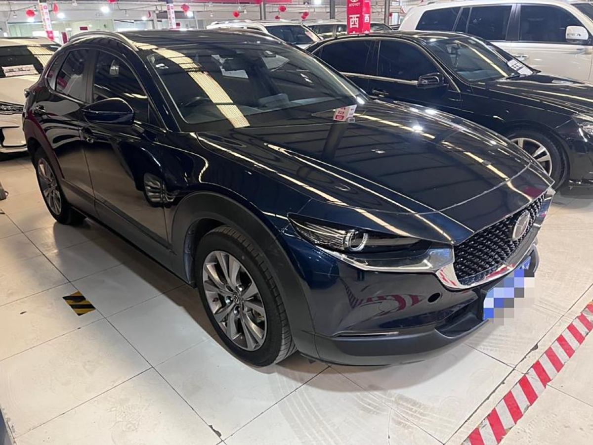 馬自達 CX-30  2020款 2.0L 自動耀悅型圖片