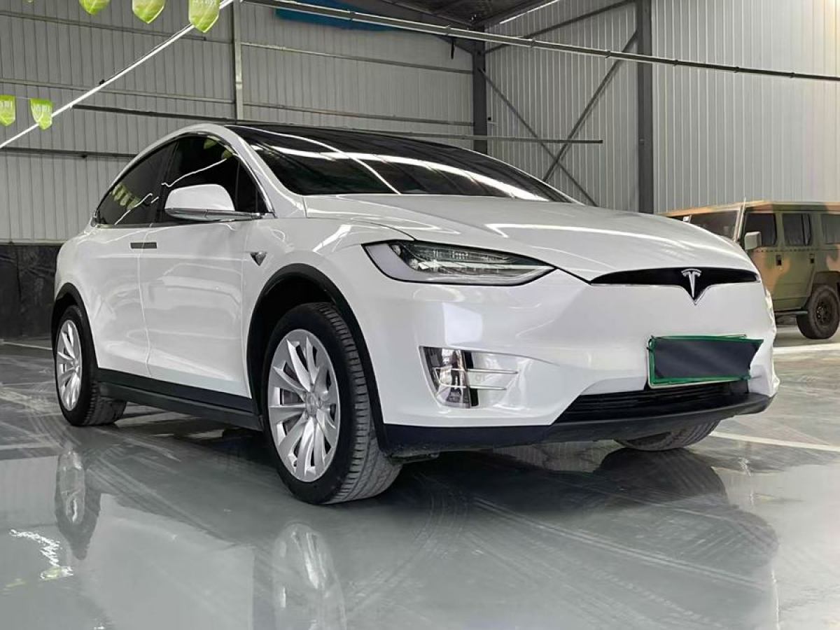 特斯拉 Model X  2019款 長(zhǎng)續(xù)航版圖片