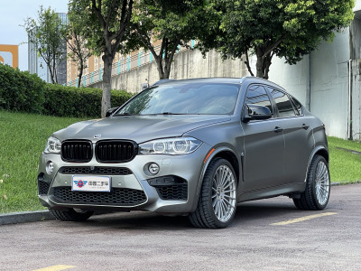 2018年1月 宝马 宝马X6(进口) xDrive35i图片