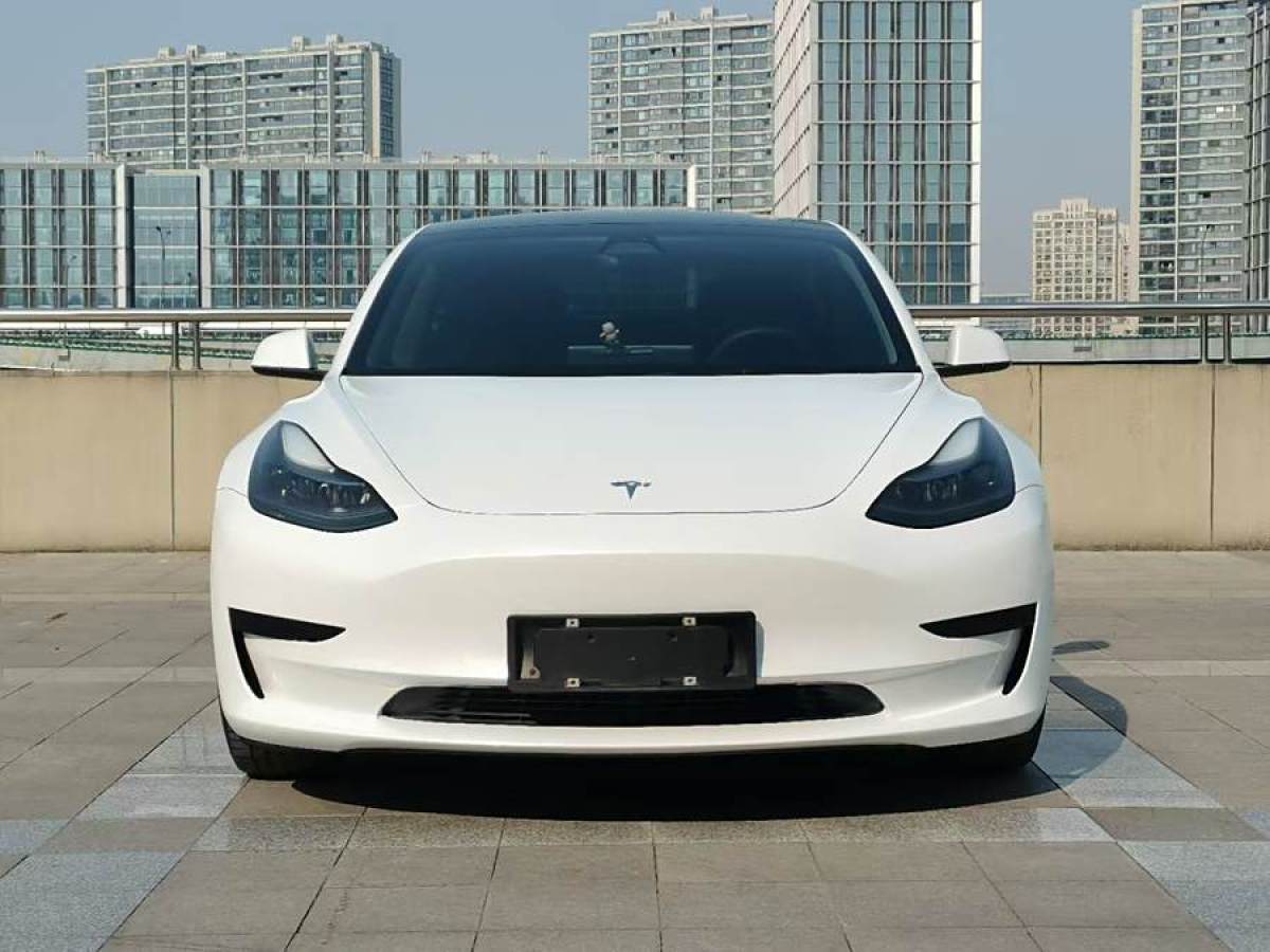 特斯拉 Model 3  2021款 改款 標準續(xù)航后驅升級版圖片