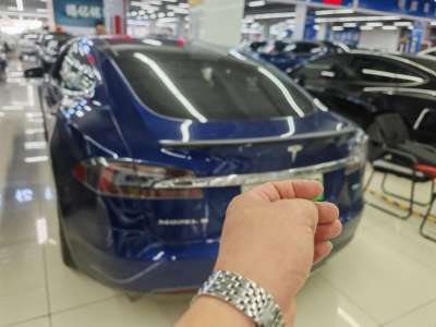 2016年6月 特斯拉 Model S Model S 90D图片