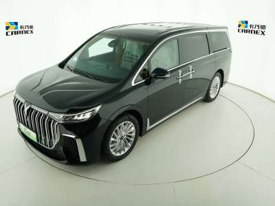 2024年1月 嵐圖 夢想家 PHEV 超長續(xù)航尊貴版圖片