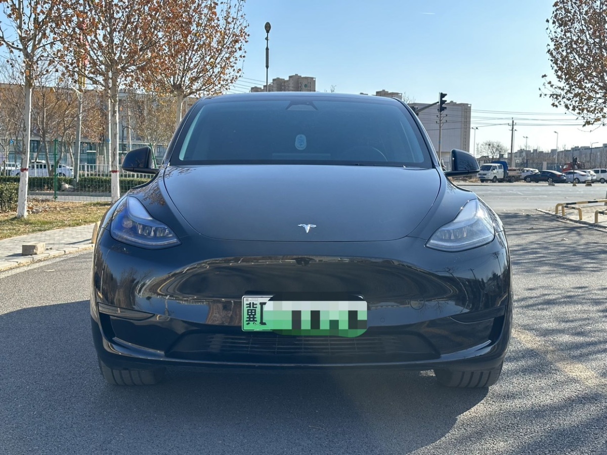 特斯拉 Model Y  2024款 后輪驅動版圖片