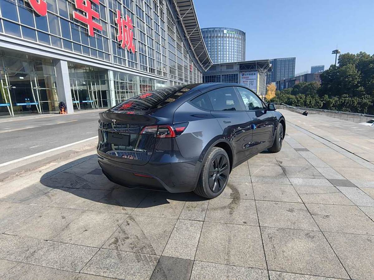 特斯拉 Model 3  2020款 改款 長續(xù)航后輪驅(qū)動版圖片