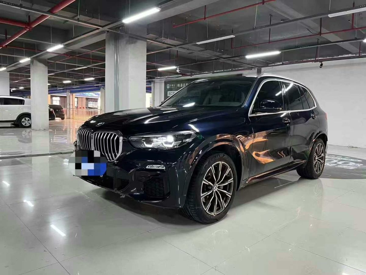 寶馬 寶馬X5  2021款 xDrive30i X設(shè)計套裝圖片