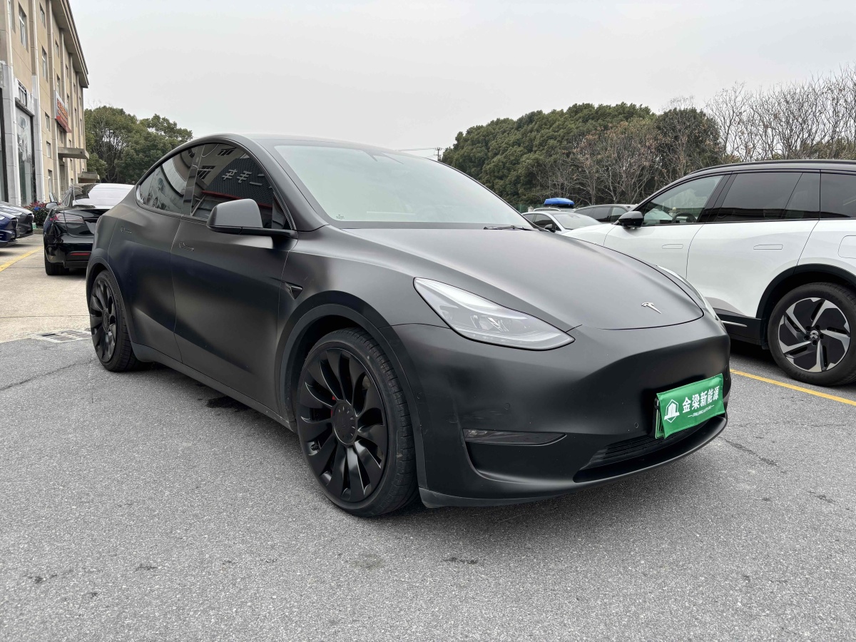 特斯拉 Model 3  2022款 Performance高性能全輪驅(qū)動版圖片