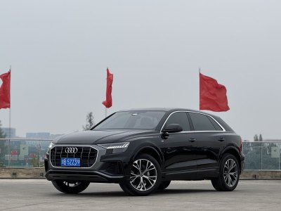 2024年8月 奧迪 奧迪Q8(進口) 55 TFSI 豪華動感型圖片