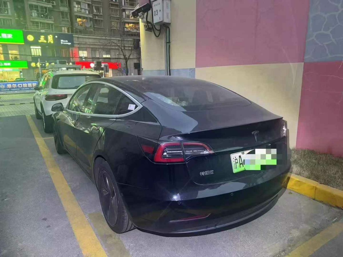 特斯拉 Model 3  2020款 標(biāo)準(zhǔn)續(xù)航后驅(qū)升級(jí)版圖片