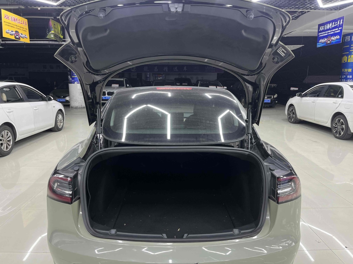 特斯拉 Model 3  2019款 標(biāo)準(zhǔn)續(xù)航后驅(qū)升級版圖片