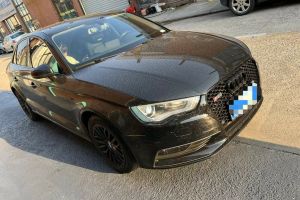 奧迪A3 奧迪 Limousine 35 TFSI 進(jìn)取型