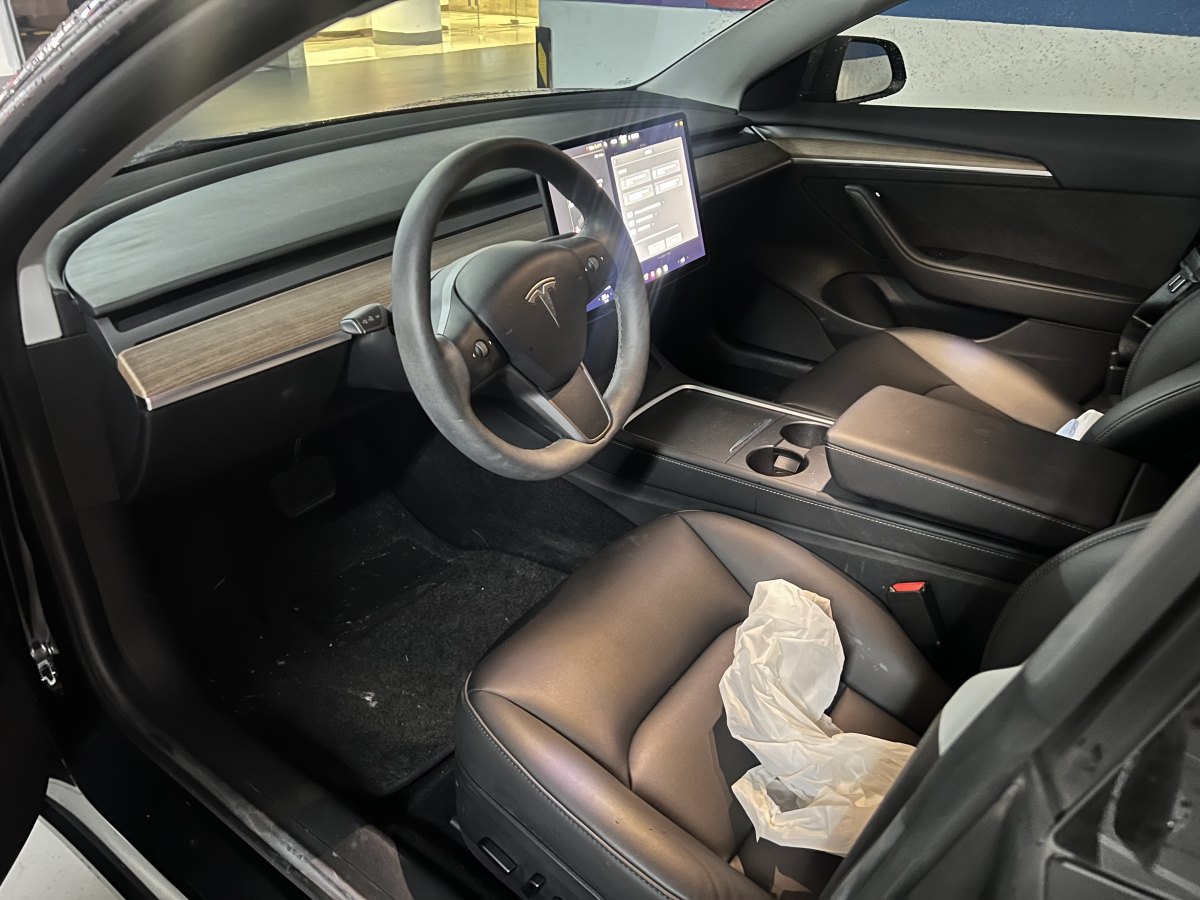 特斯拉 Model 3  2019款 標(biāo)準(zhǔn)續(xù)航后驅(qū)升級版圖片