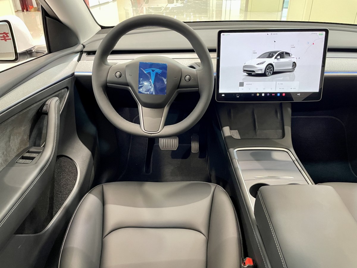 特斯拉 Model Y  2020款 改款 長(zhǎng)續(xù)航后輪驅(qū)動(dòng)版圖片