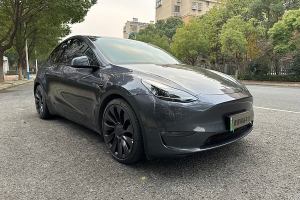 Model 3 特斯拉 Performance高性能全輪驅(qū)動(dòng)版