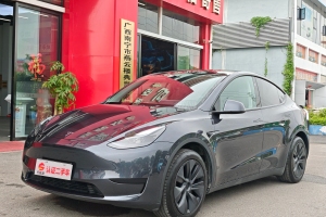 Model Y 特斯拉 后輪驅(qū)動版