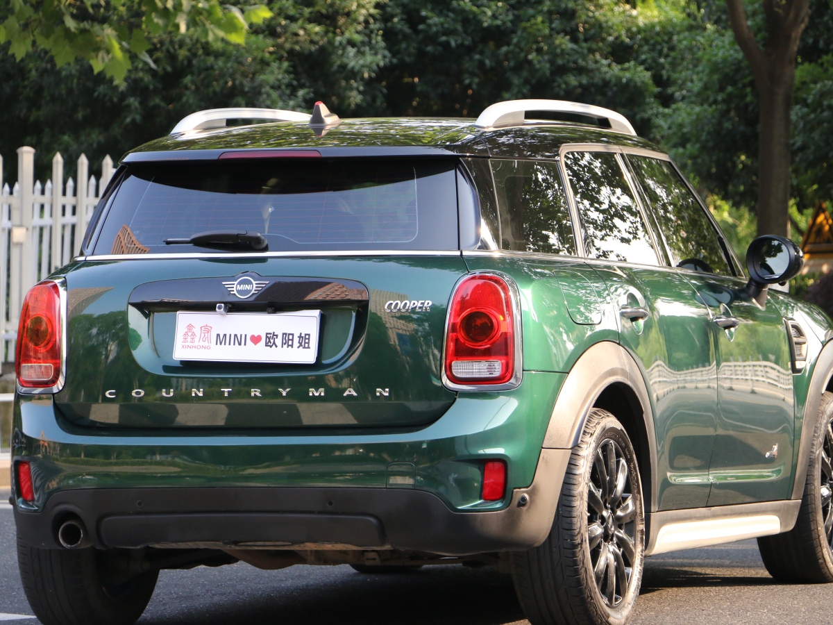 MINI COUNTRYMAN  2018款 1.5T COOPER ALL4 藝術(shù)家圖片