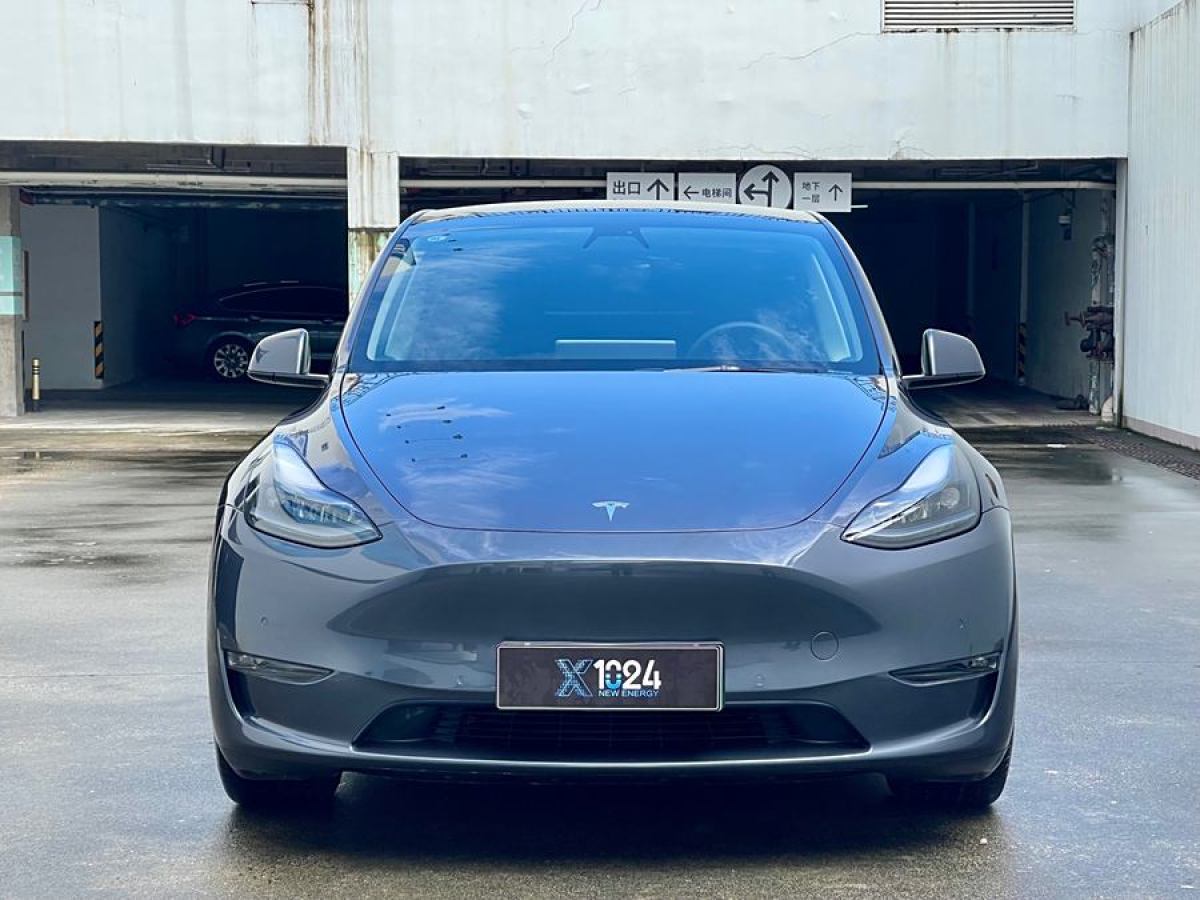 特斯拉 Model Y  2022款 Performance高性能全輪驅(qū)動版圖片