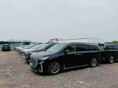 2024年4月 嵐圖 夢(mèng)想家 EV 超長(zhǎng)續(xù)航卓越版圖片