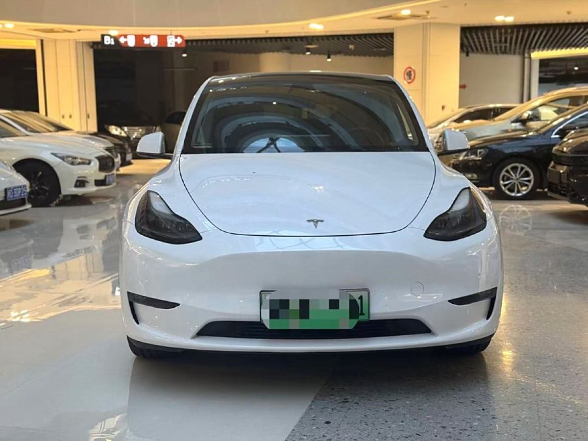 特斯拉 Model Y  2021款 改款 長續(xù)航全輪驅動版圖片