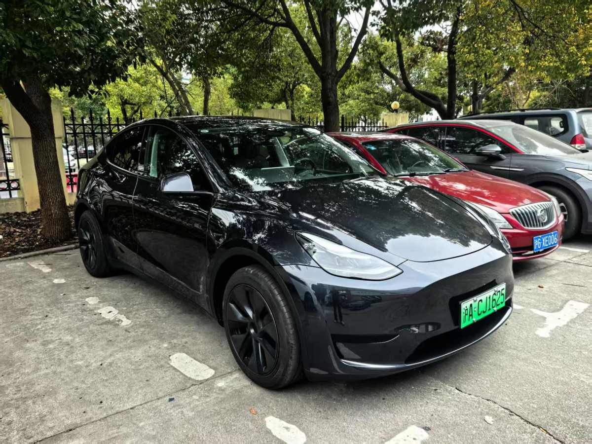 特斯拉 Model 3  2020款 改款 長續(xù)航后輪驅(qū)動版圖片