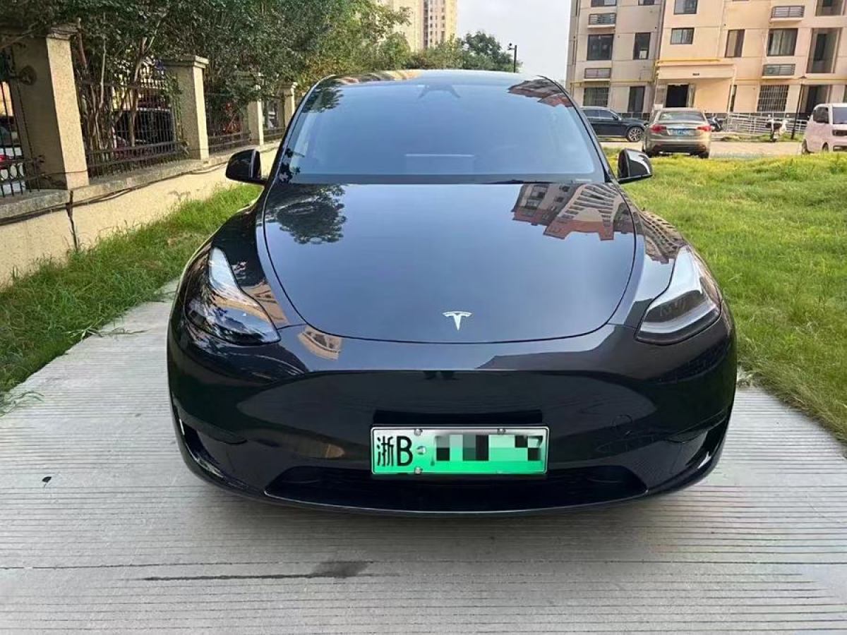 特斯拉 Model Y  2020款 改款 長續(xù)航后輪驅(qū)動(dòng)版圖片