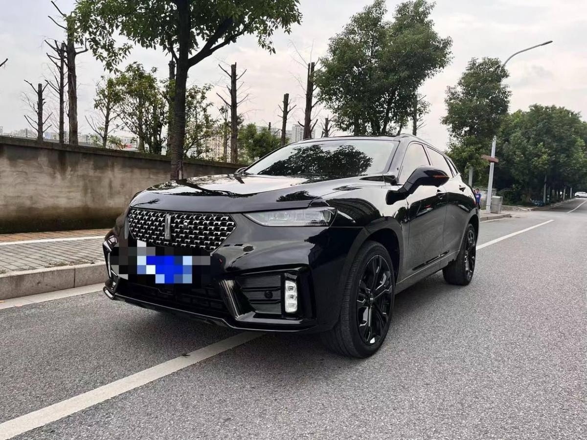 WEY VV7  2020款 2.0T 旗舰型图片