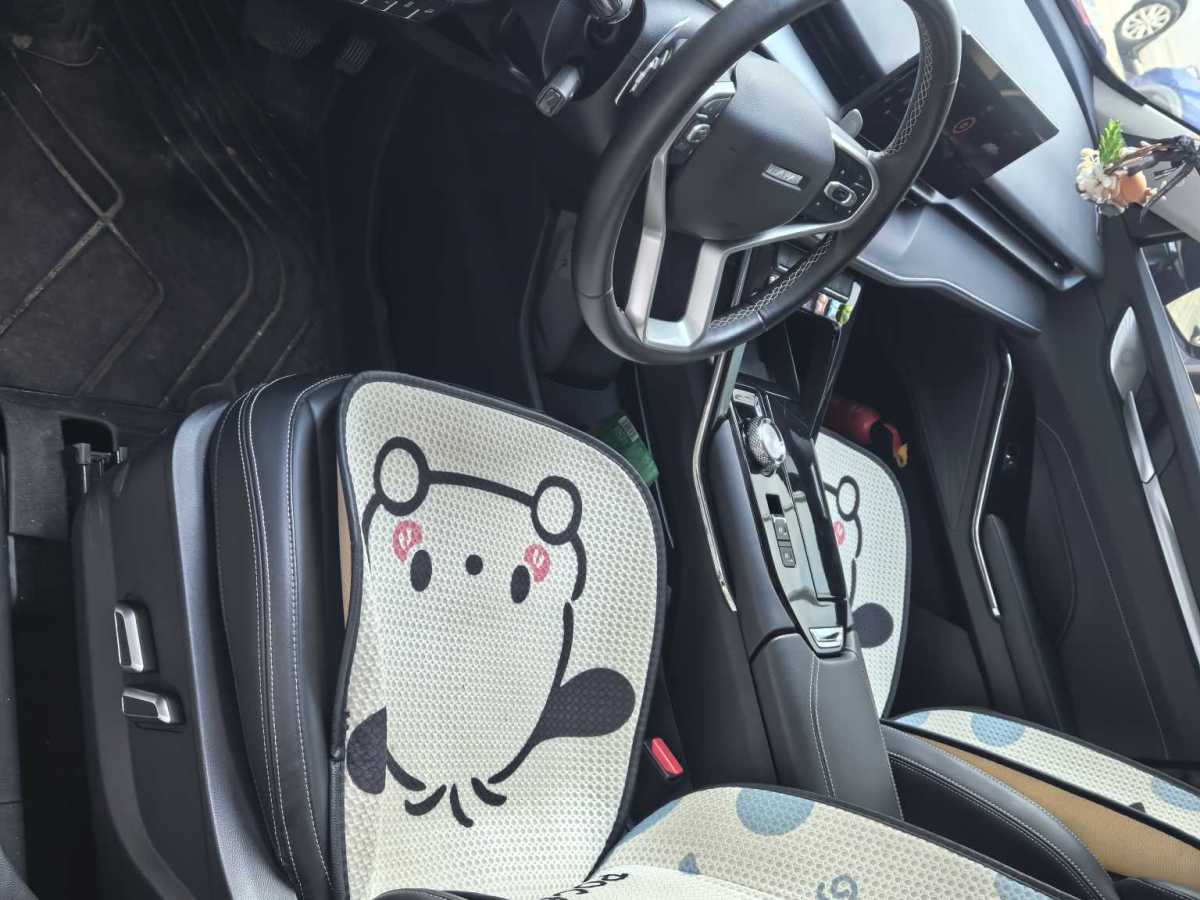 哈弗 H6  2022款 第三代 1.5T 自動兩驅Pro圖片