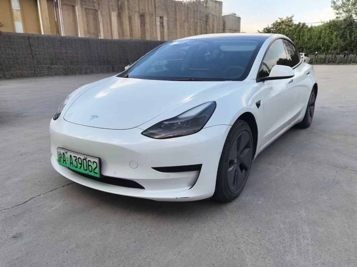 特斯拉 Model 3  2021款 標(biāo)準(zhǔn)續(xù)航后驅(qū)升級版 3D6圖片