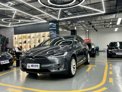 2021年1月 特斯拉 Model X 长续航版图片