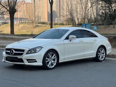 2014年12月 奔馳 奔馳CLS級(進(jìn)口) CLS 300 CGI圖片