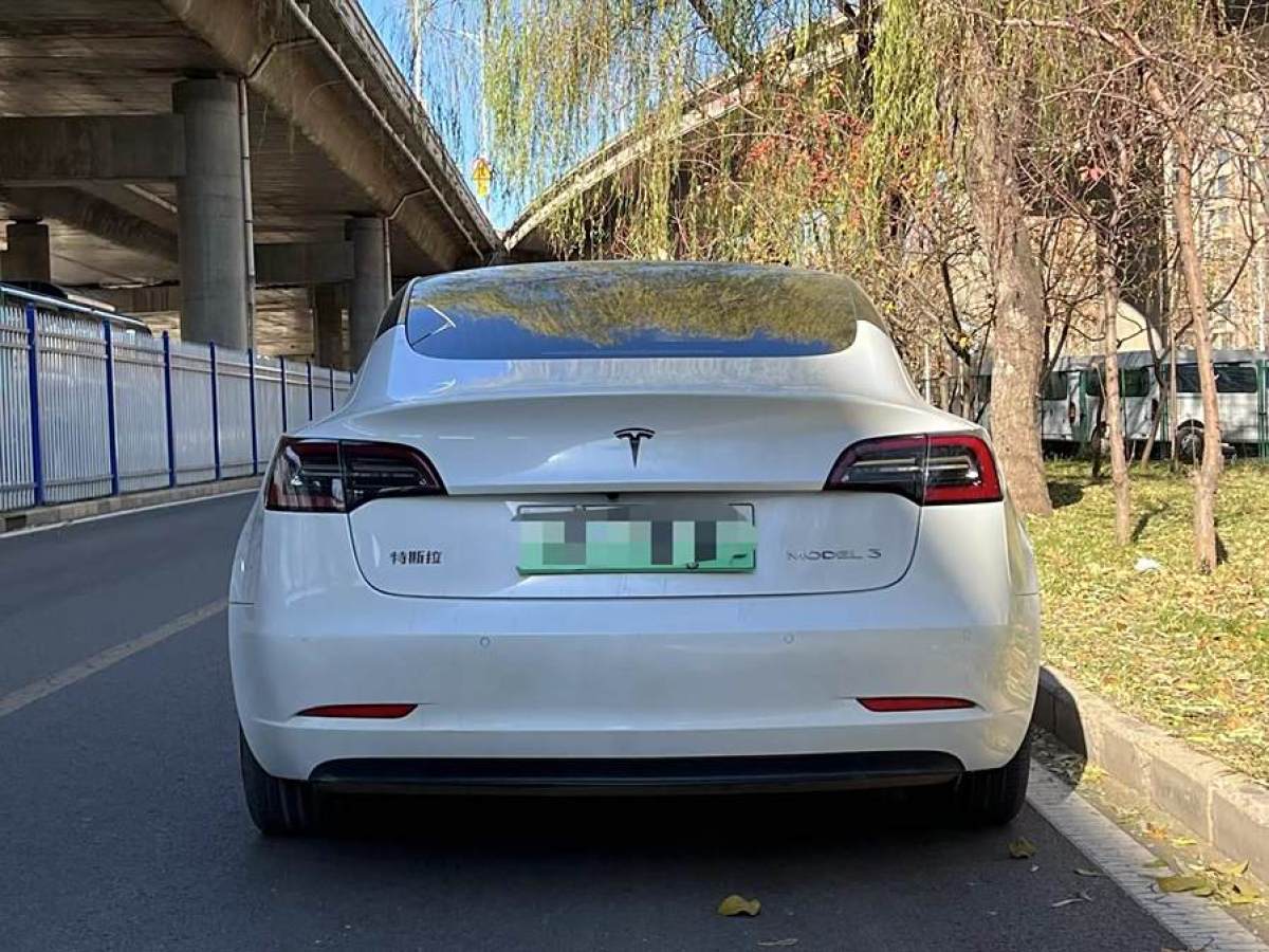 特斯拉 Model 3  2019款 標(biāo)準(zhǔn)續(xù)航后驅(qū)升級(jí)版圖片