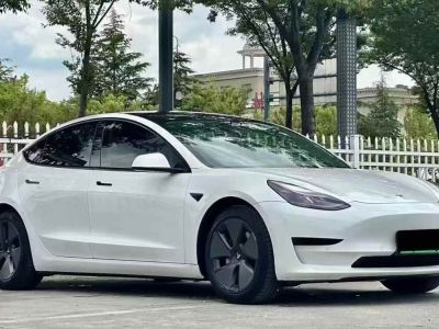 2021年1月 特斯拉 Model S Performance 高性能版圖片