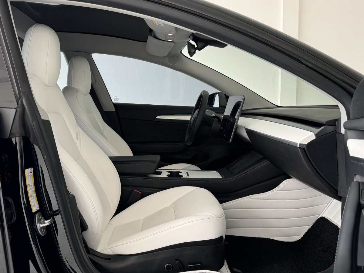 特斯拉 Model 3  2019款 標(biāo)準(zhǔn)續(xù)航后驅(qū)升級(jí)版圖片