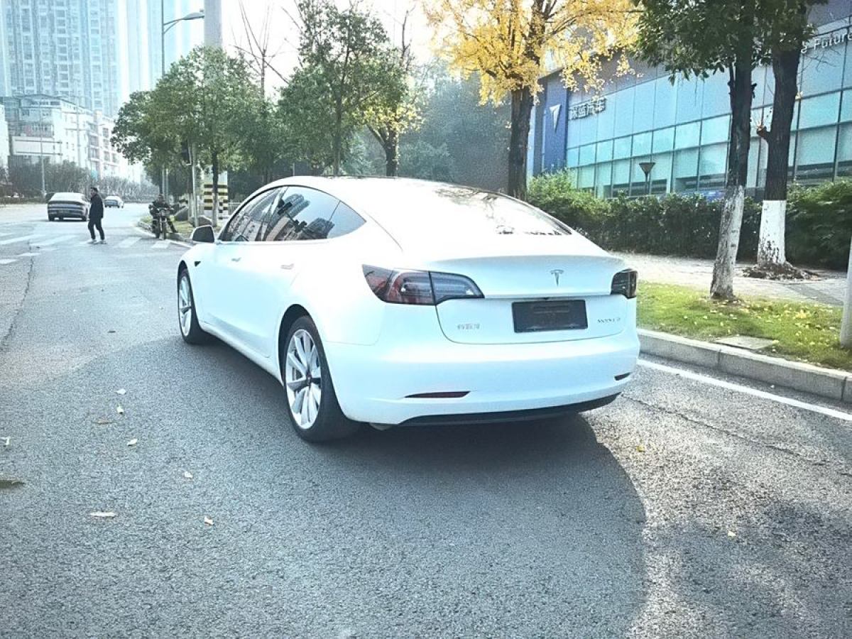 特斯拉 Model 3  2020款 改款 標準續(xù)航后驅(qū)升級版圖片