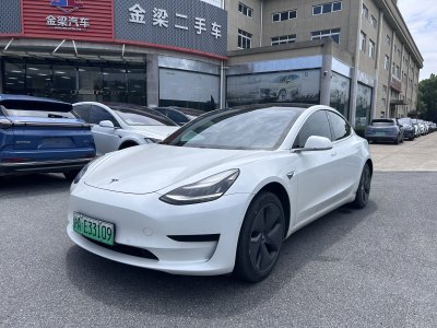 2020年3月 特斯拉 Model 3 标准续航后驱升级版图片