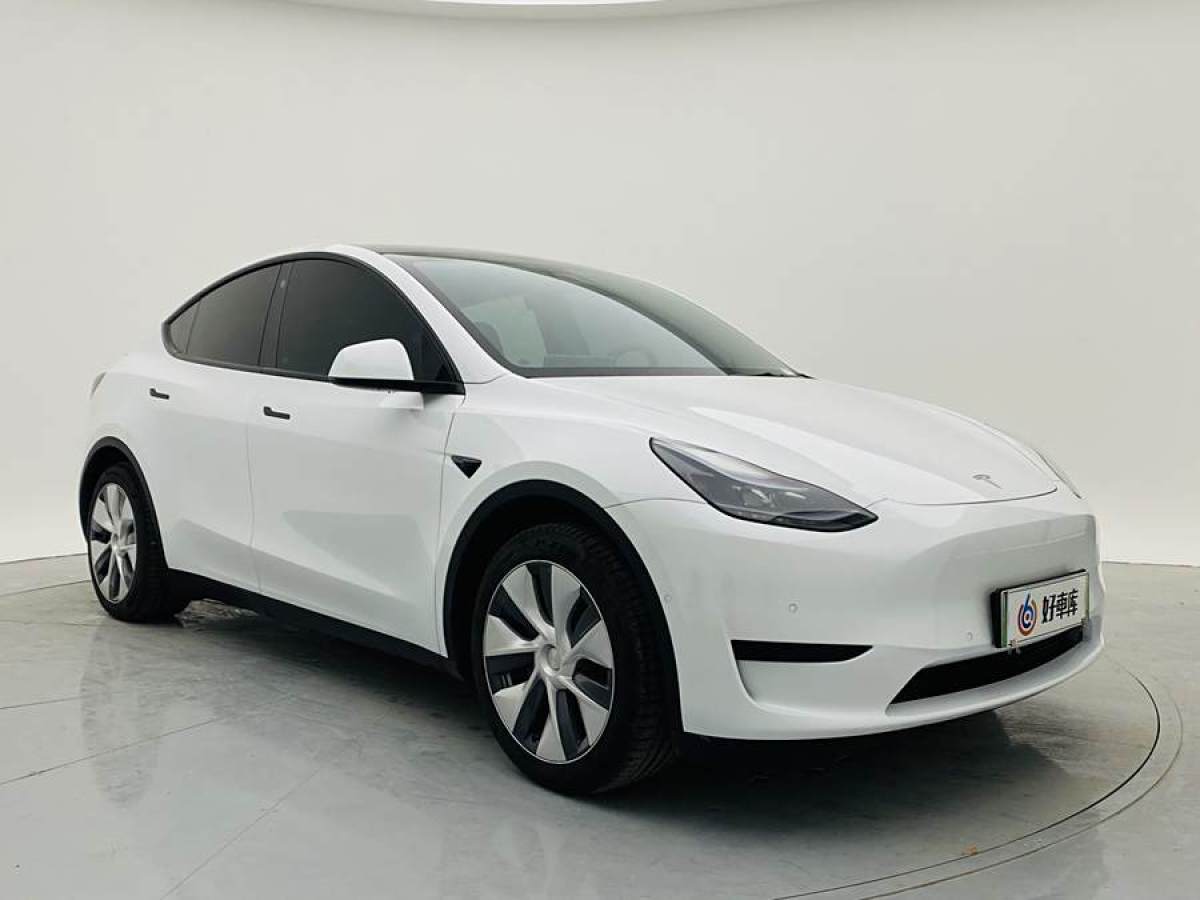 特斯拉 Model 3  2020款 改款 長續(xù)航后輪驅(qū)動版圖片