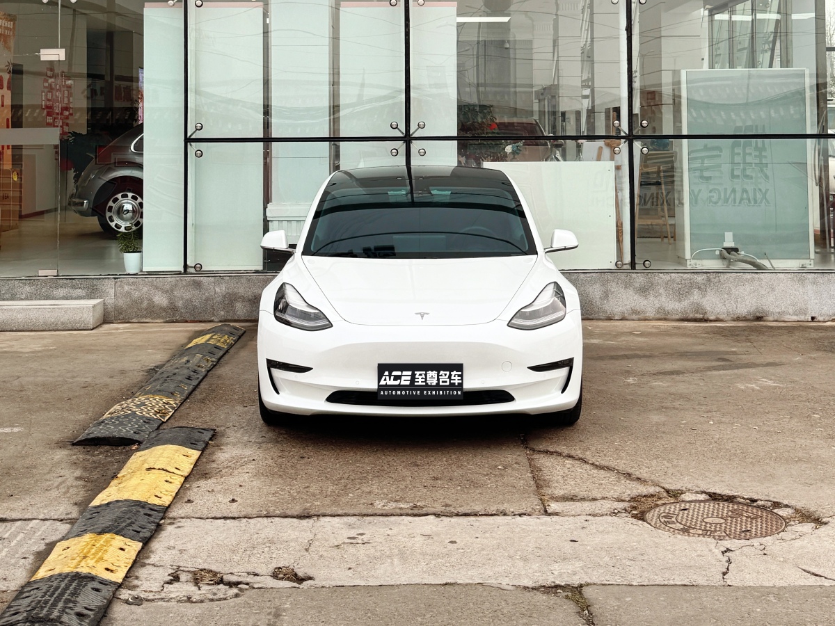 特斯拉 Model 3  2019款 標(biāo)準(zhǔn)續(xù)航后驅(qū)升級版圖片