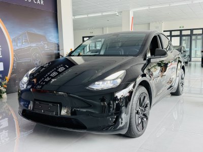 2023年7月 特斯拉 Model Y 改款 长续航后轮驱动版图片