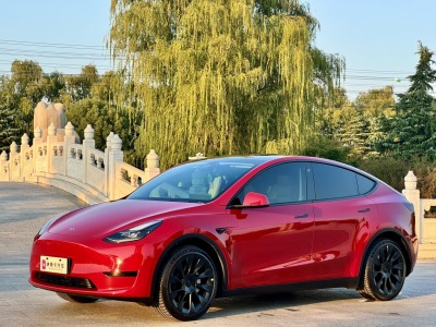 2023年06月 特斯拉 Model Y 改款 后輪驅(qū)動(dòng)版圖片