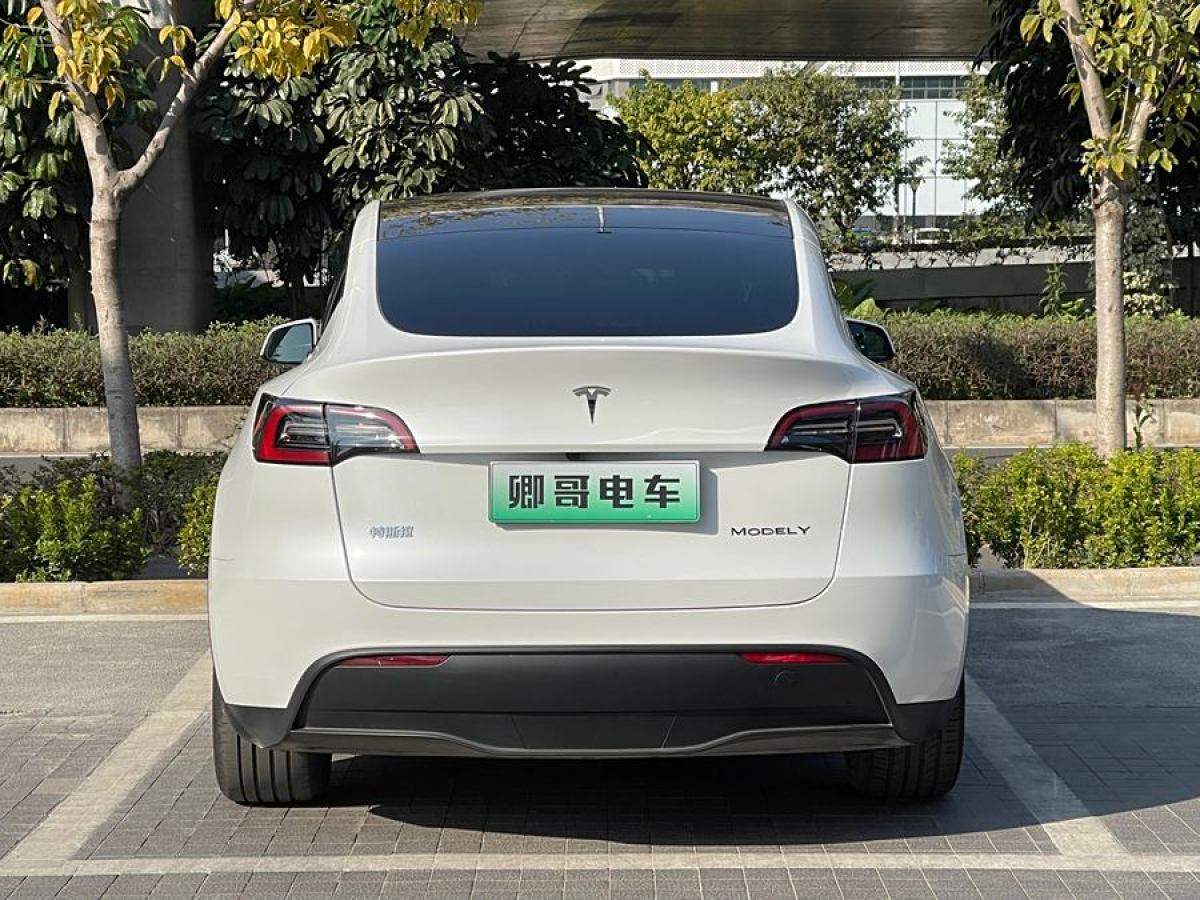 特斯拉 Model 3  2020款 改款 長續(xù)航后輪驅(qū)動(dòng)版圖片