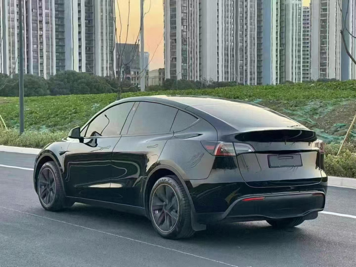 2023年3月特斯拉 Model Y  2023款 后輪驅(qū)動版