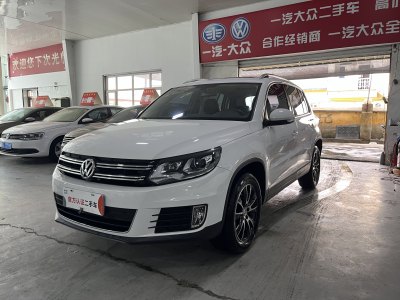 2015年4月 大眾 途觀 1.8TSI 自動(dòng)四驅(qū)豪華型圖片