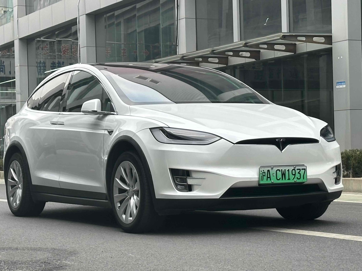 特斯拉 Model X  2020款 長續(xù)航升級(jí)版圖片