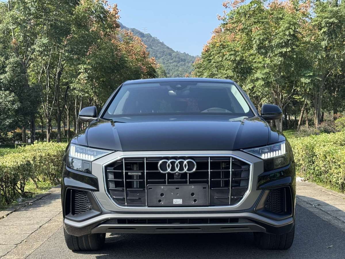 2022年8月奧迪 奧迪Q8  2022款 55 TFSI 豪華動(dòng)感型