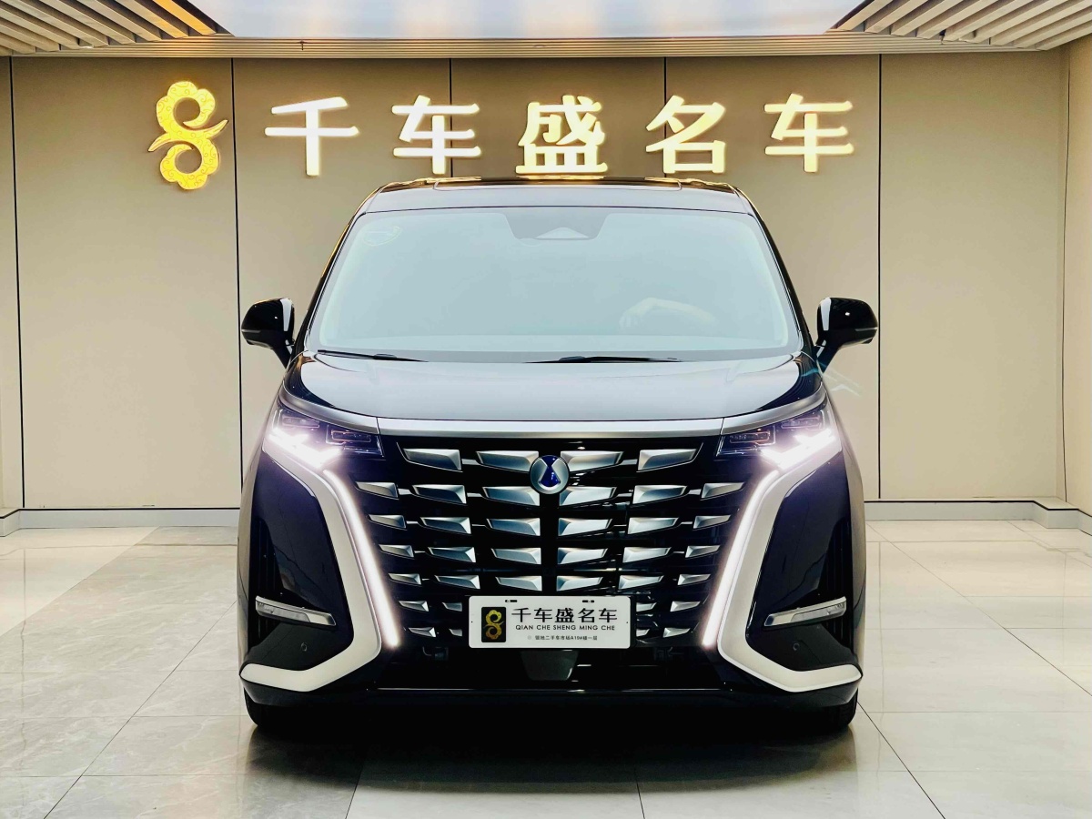 2024年2月騰勢(shì) 騰勢(shì)D9  2023款 DM-i 965 尊享型