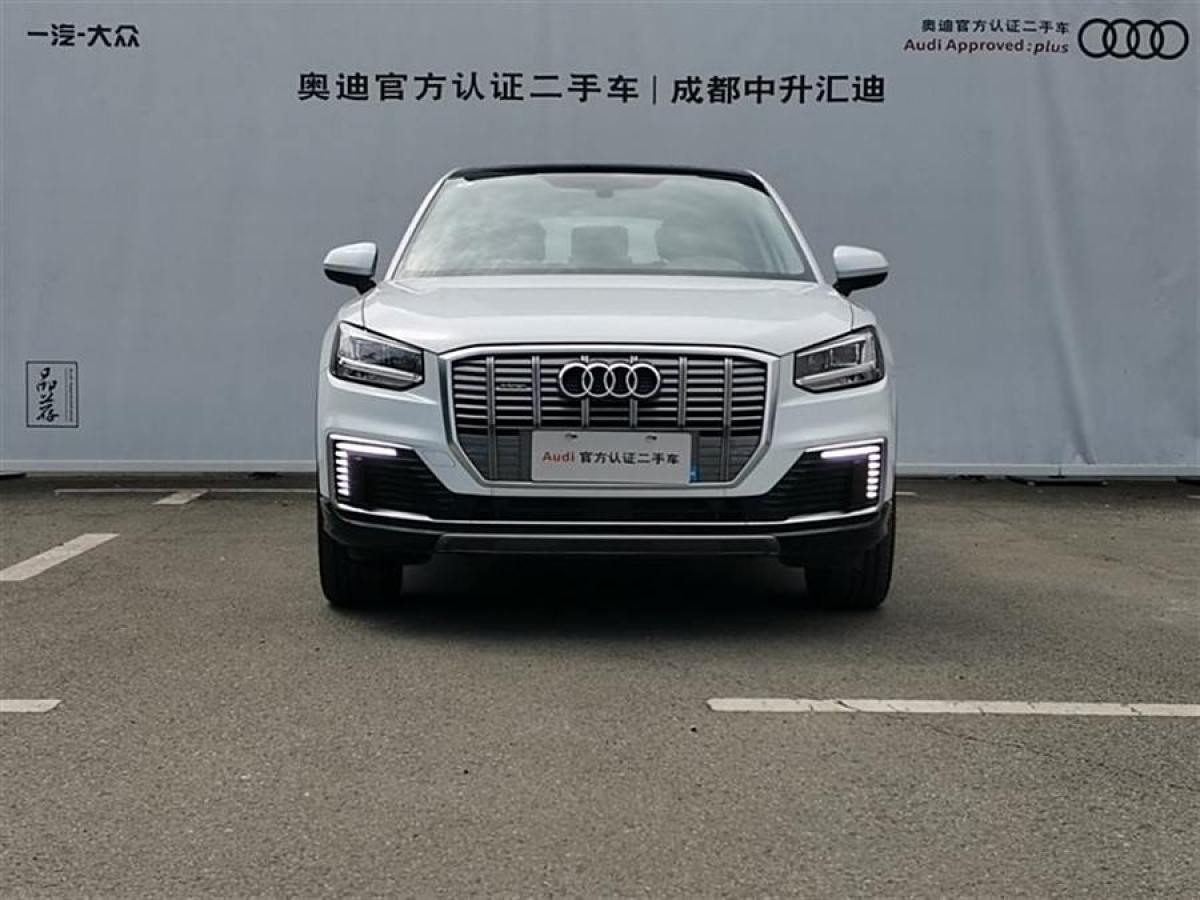 2020年7月奧迪 Q2L e-tron  2019款 e-tron 純電智享型